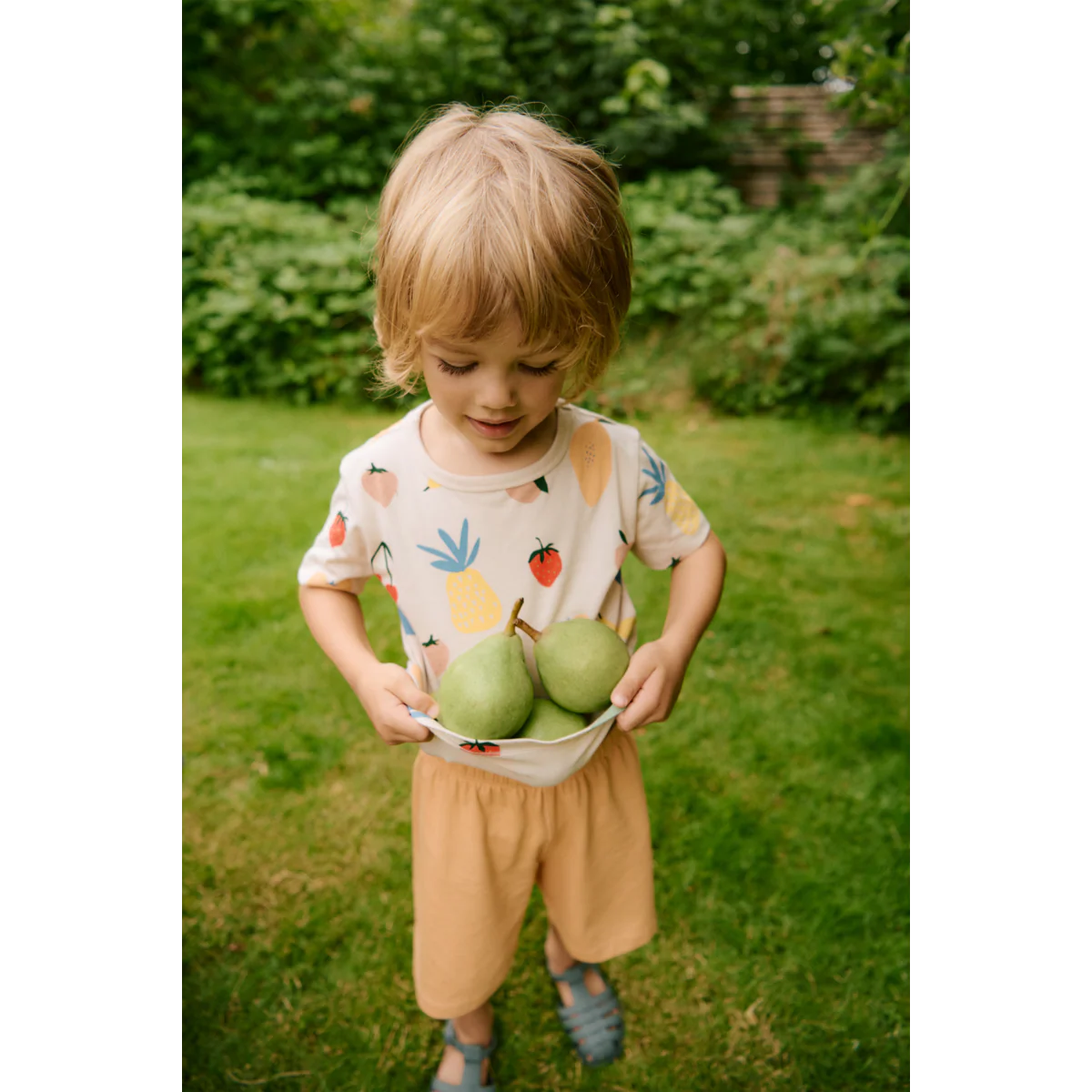 Apia Printed Short-sleeve T-shirt - Fruit / Sandy - Image 4