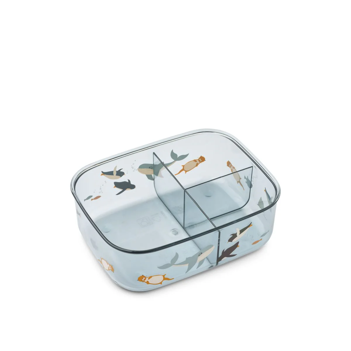 Arthur Tritan Lunchbox - Arctic Sea /  Ocean view - Image 2